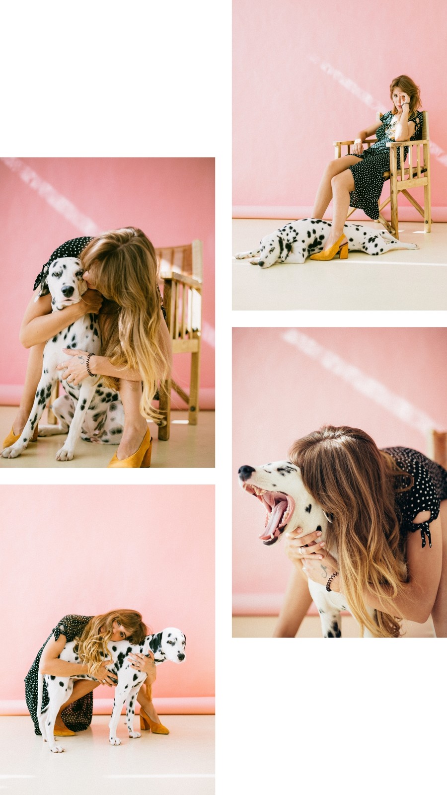 女性とペット 犬 クリーン ミニマリスト Instagramストーリー 女性とペット 犬 クリーン ミニマリスト Instagramストーリー