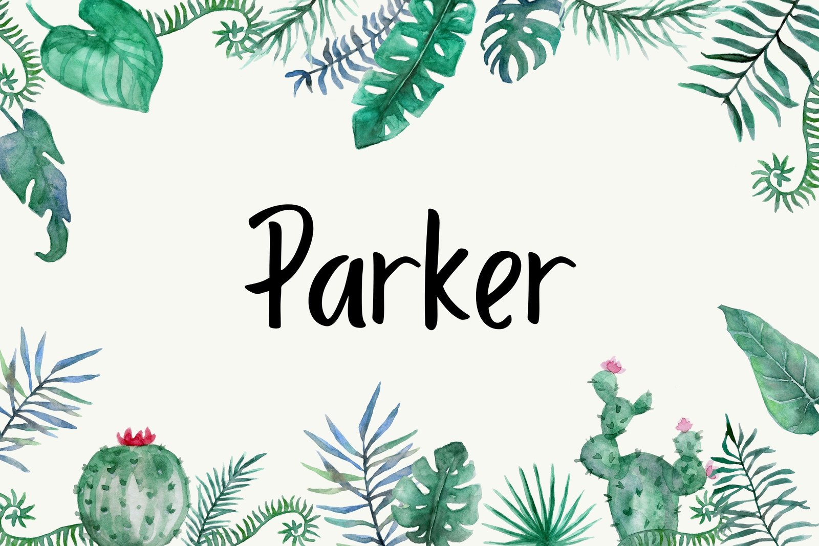 Succulents and Cactus Student Name Label