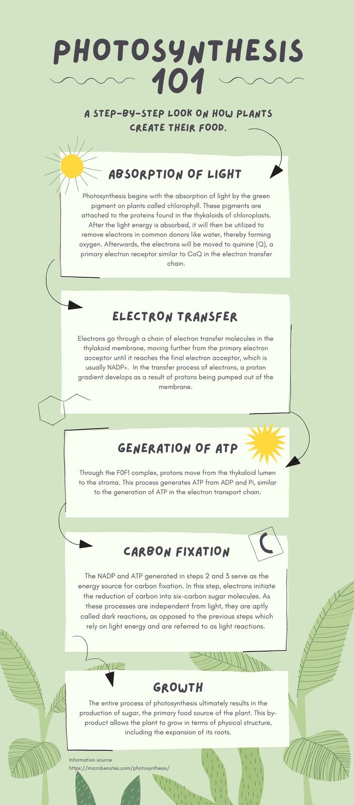 Green Organic Natural Photosynthesis Biology Infographic Green Organic Natural Photosynthesis Biology Infographic