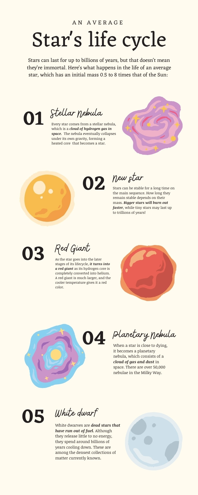 Beige Organic Star Life Cycle Astronomy Infographic