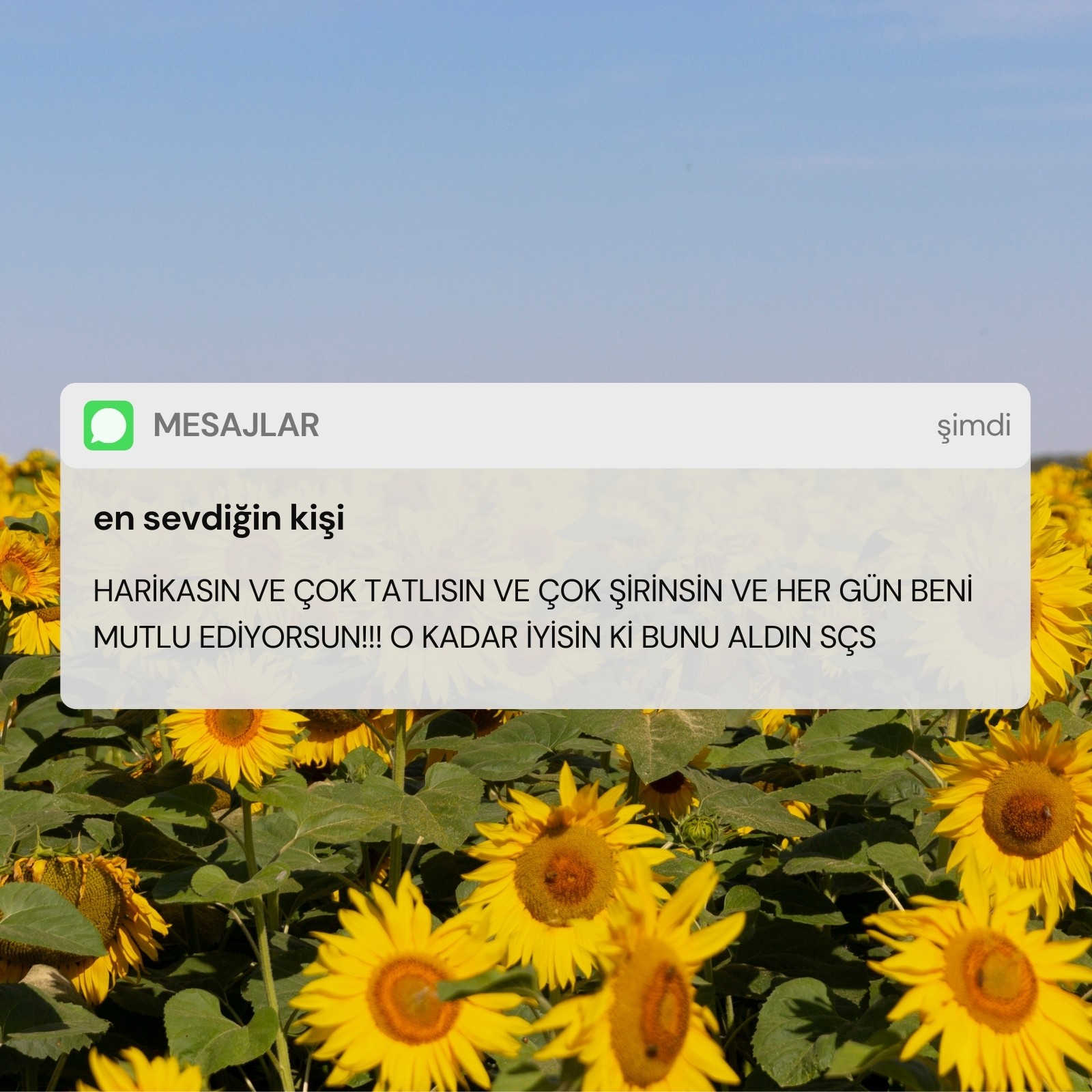 Ayçiçekli Telefon Kullanıcı Arayüzü / Bildirimi Kare İlham Verici Mem