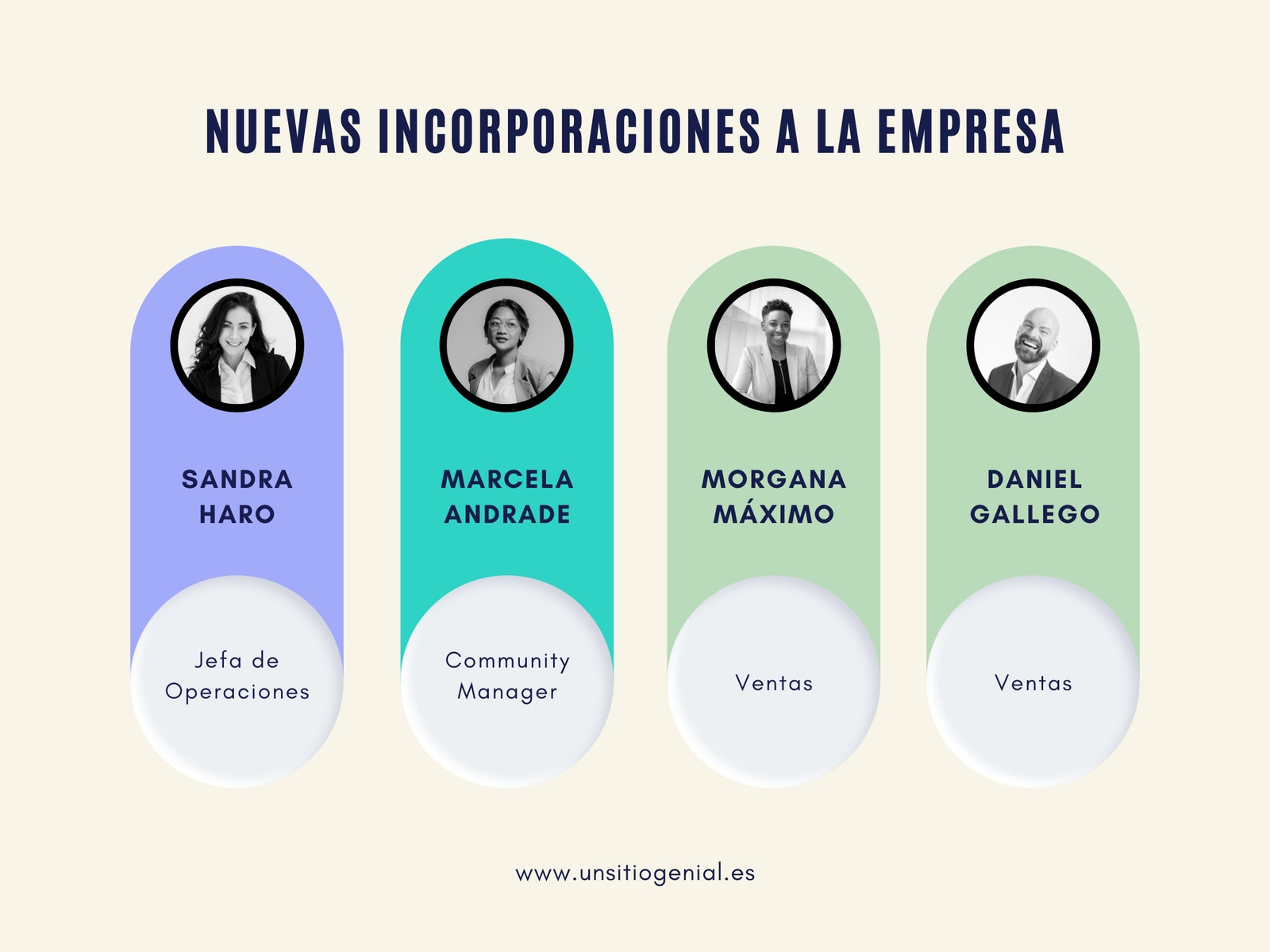 Gráfico Esquema Empresarial Organización de Equipo de trabajo Profesional Multicolor