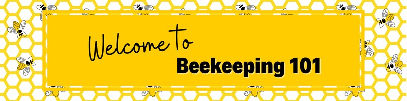 Google Classroom Headers - DLFedder Designs - Canva