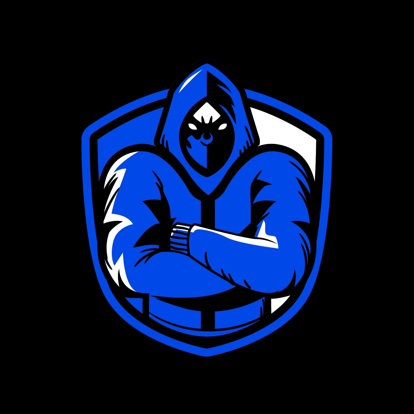 Blu e Nero Pulito Minimalismo Immagine di Profilo Twitch Blu e Nero Pulito Minimalismo Immagine di Profilo Twitch
