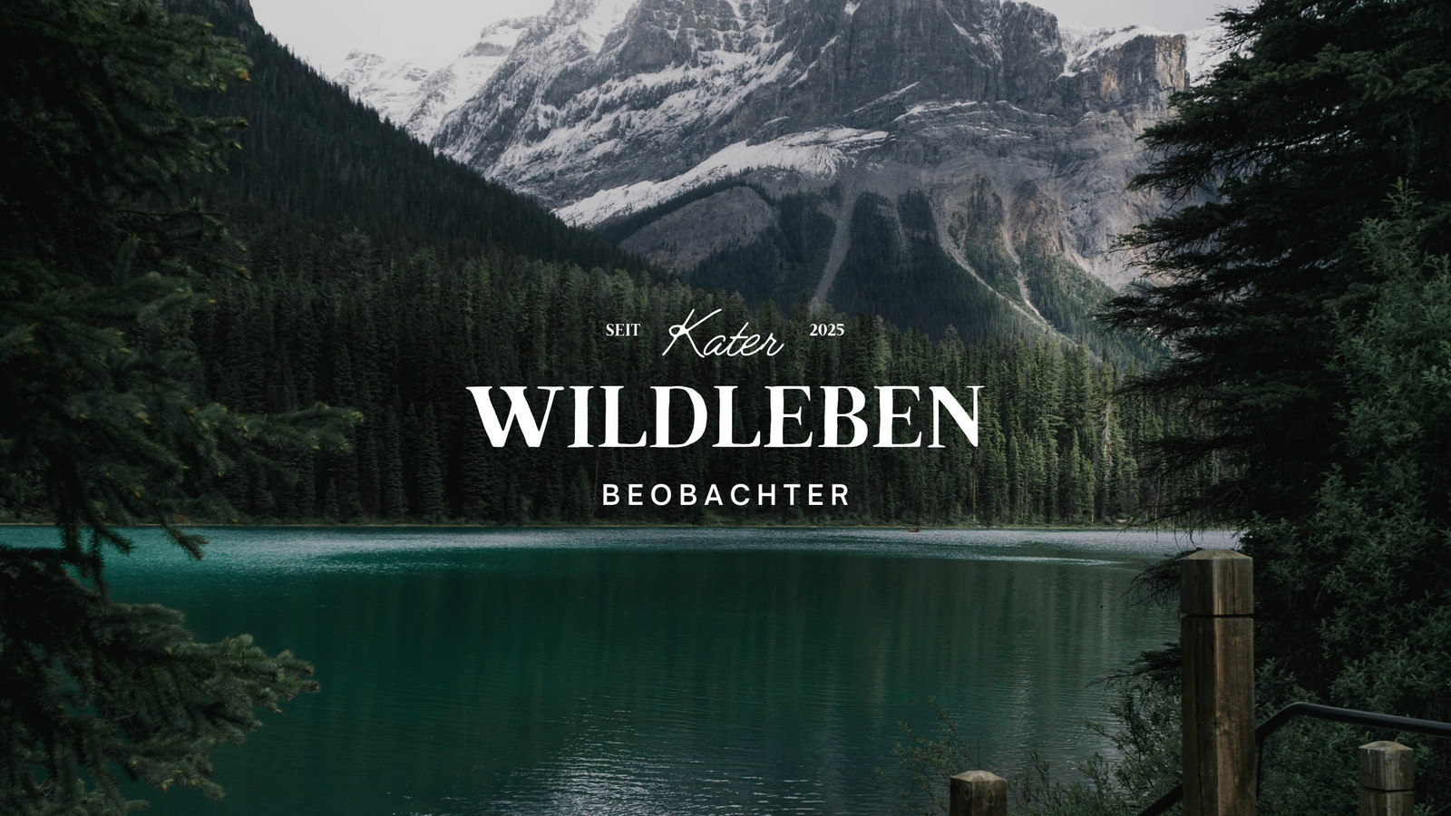 Minimalistisch Foto Natur YouTube-Banner Minimalistisch Foto Natur YouTube-Banner