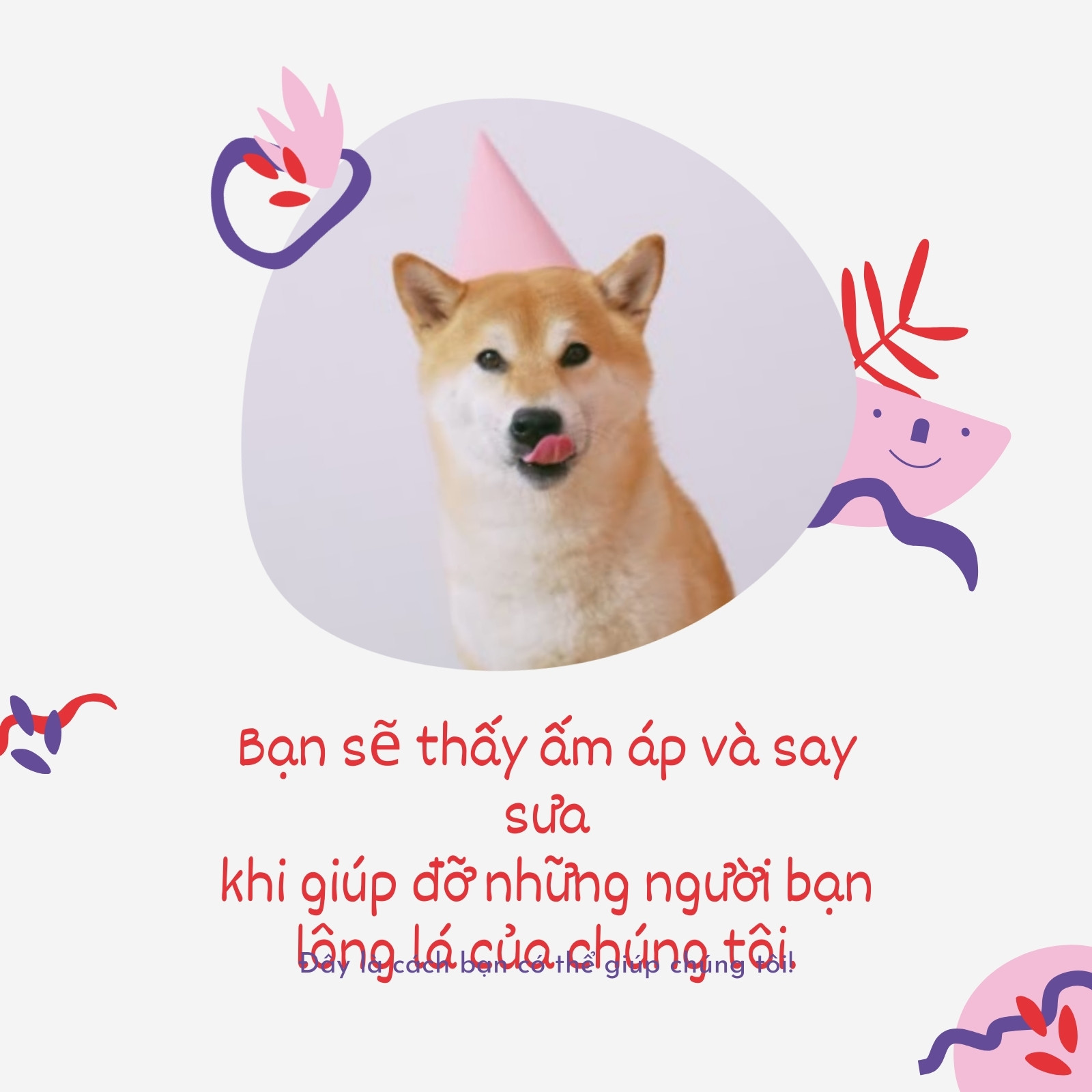 Mẫu video poppy cung cấp thông màu hồng và xám hữu cơ Mẫu video poppy cung cấp thông màu hồng và xám hữu cơ