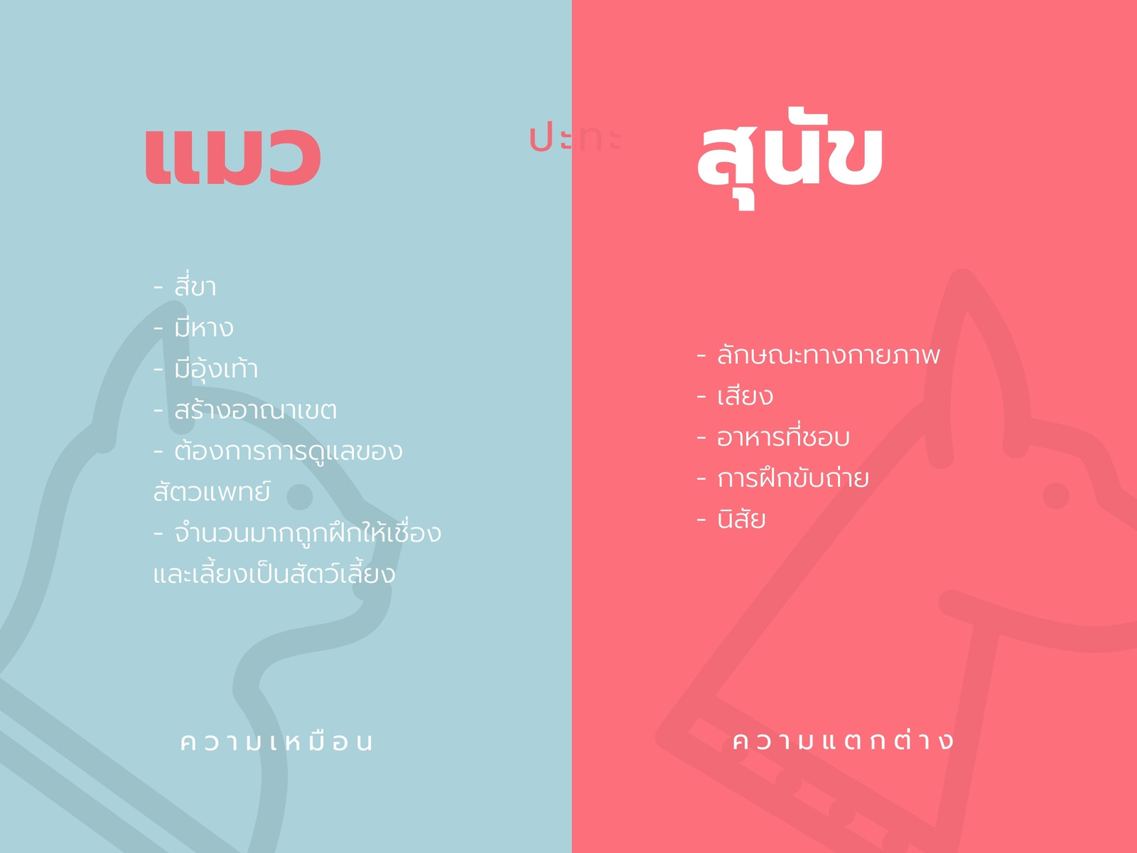แผนภูมิที สีฟ้าหม่นและสีชมพูแซลมอน