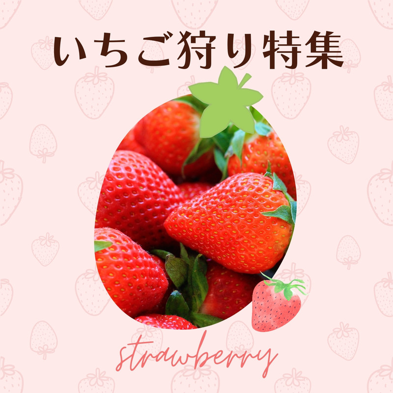 かわいいいちご無料テンプレートデザイン。イラストや画像付きも豊富