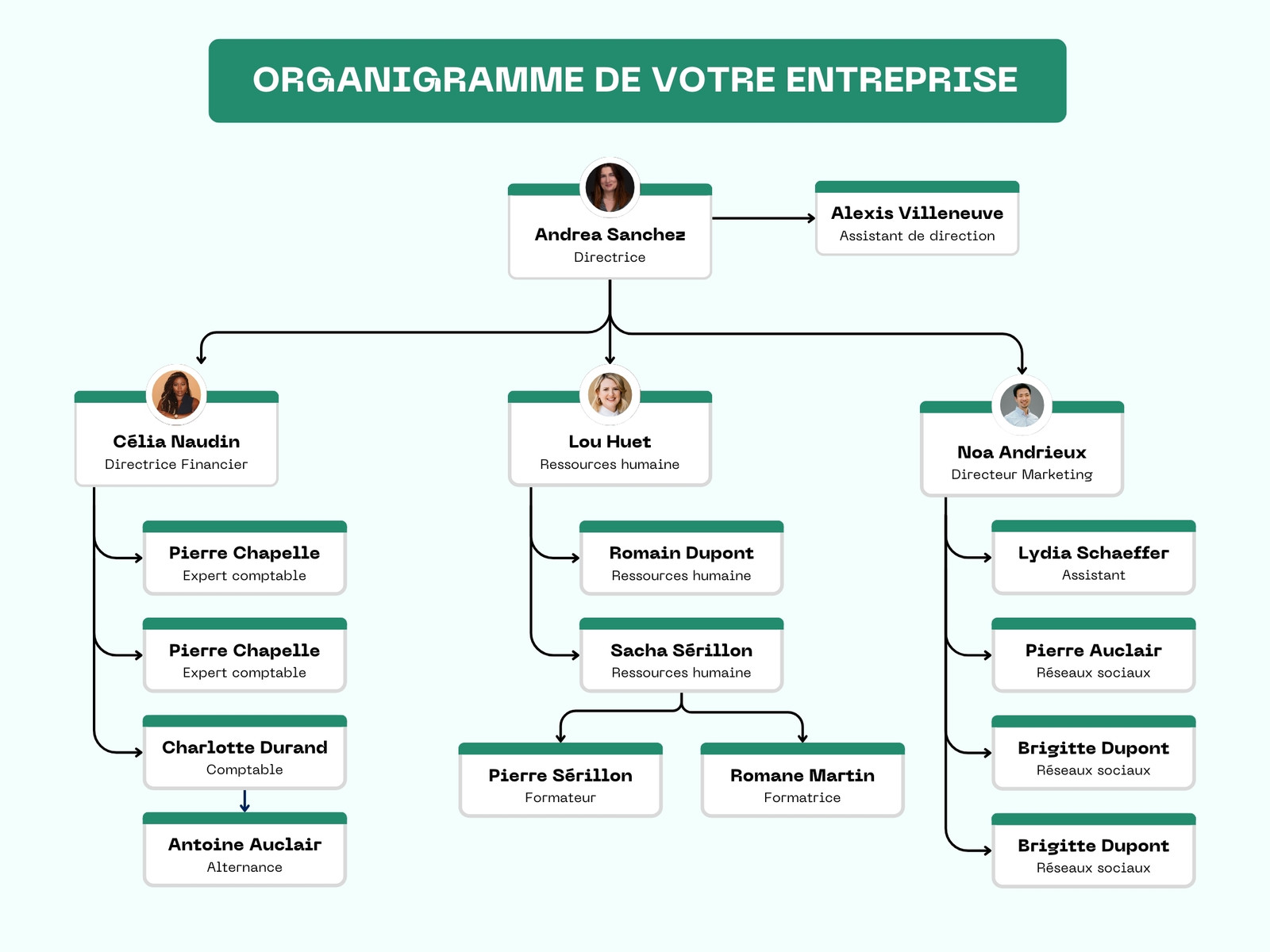 Organigramme entreprise simple Professionnel minimaliste vert