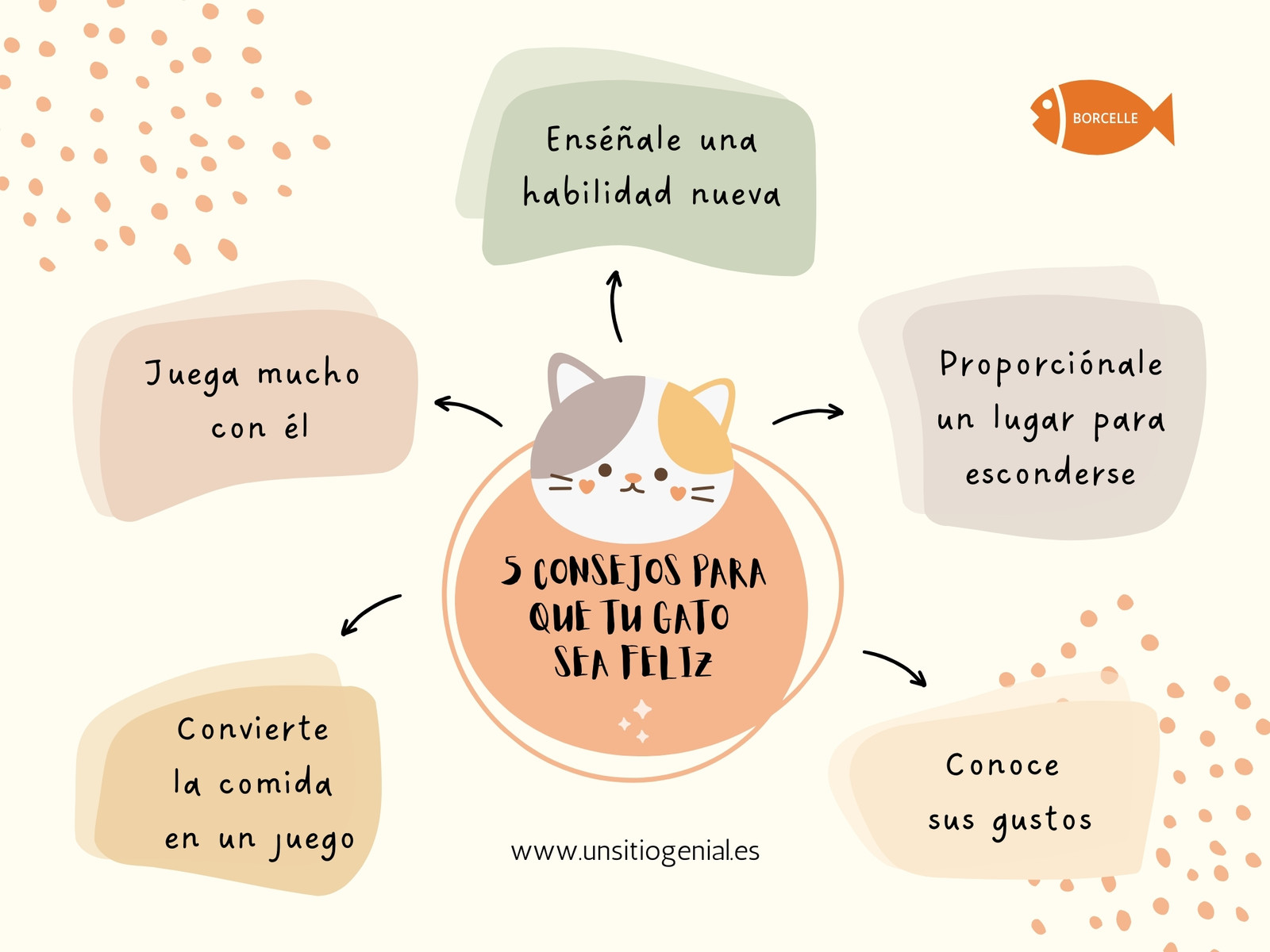 Mapa Mental Gráfico Consejos Cuidado Gato Original Divertido Ilustrado Beige y Naranja