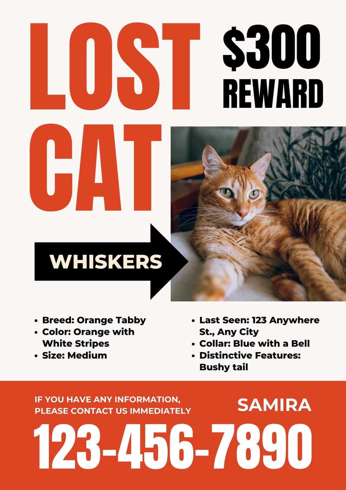 White Orange Lost Cat Poster