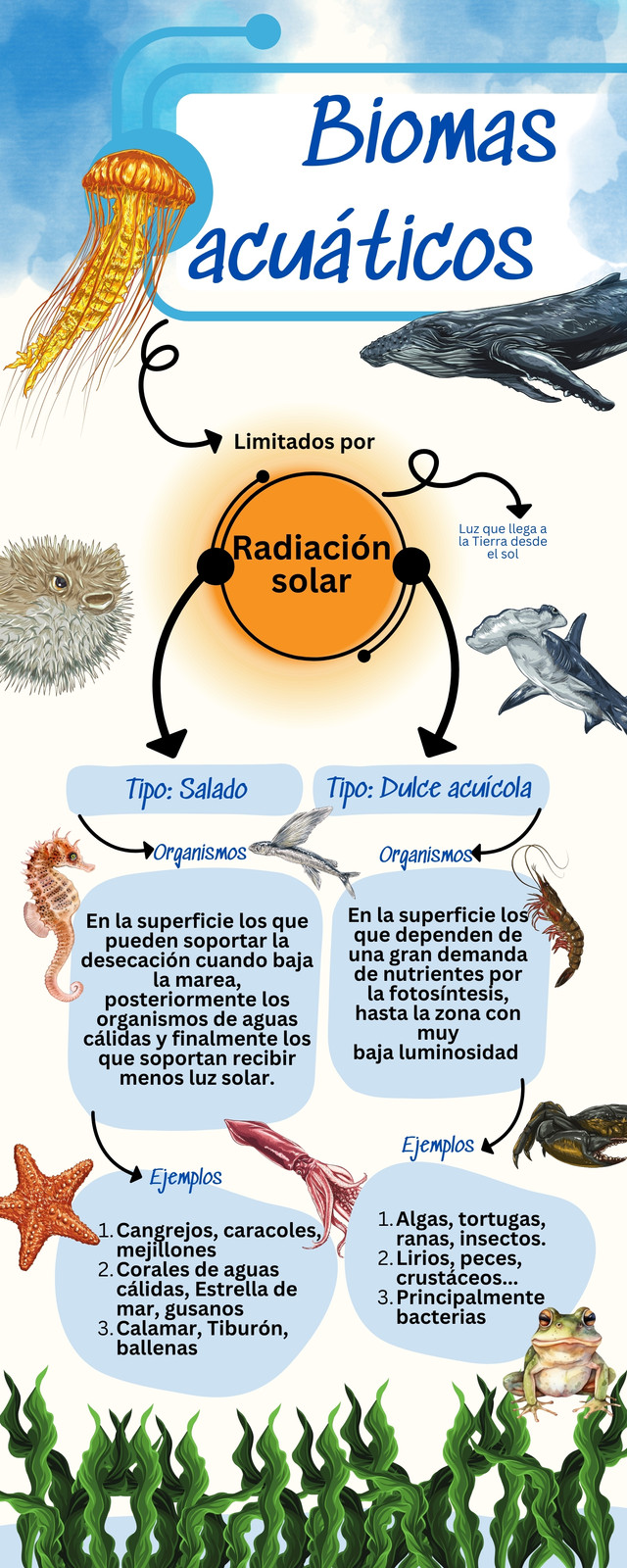 Infografía de Biología Organismos de Ecosistemas acuáticos Ilustrativo a color