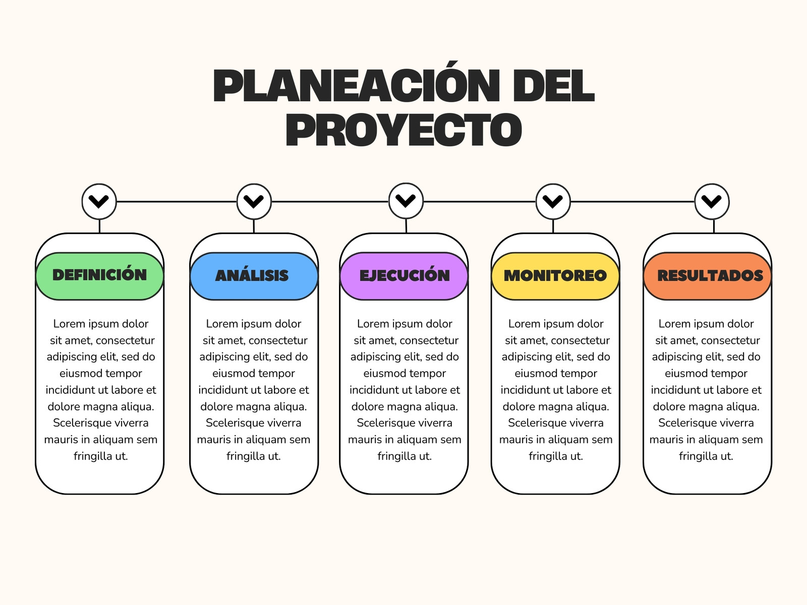 Gráfica Planeación de Proyecto Moderno Colorido