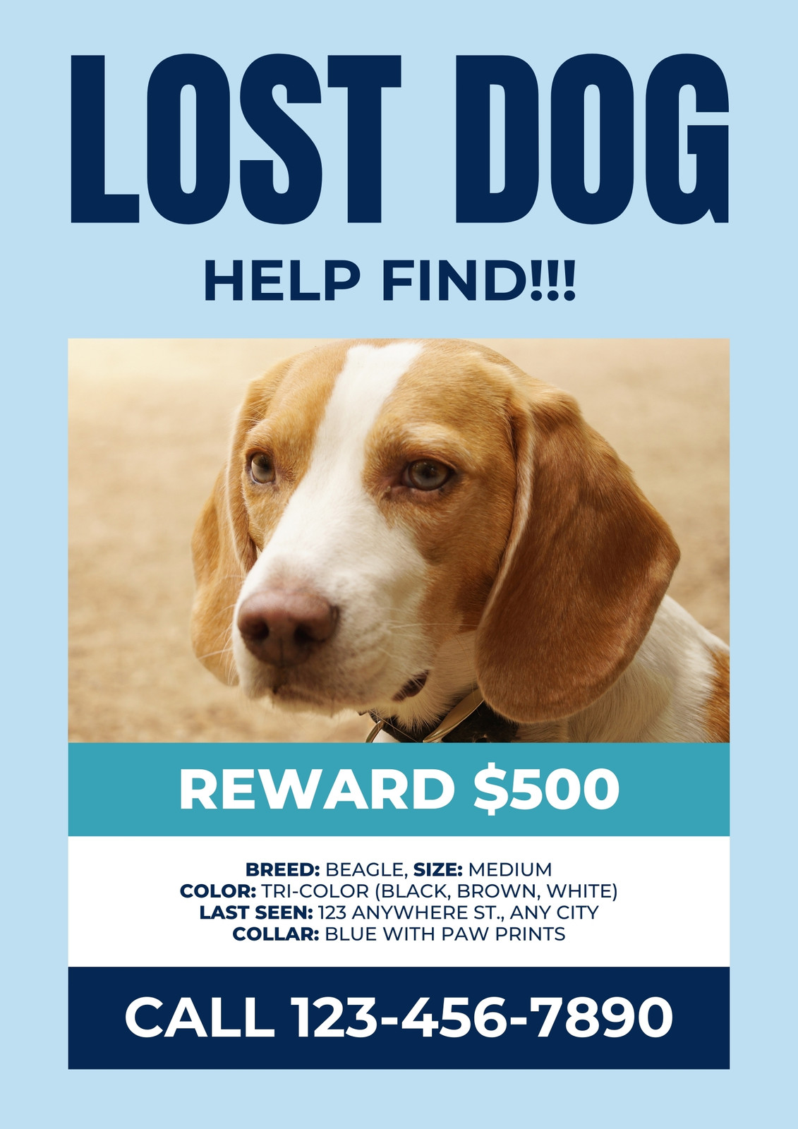 Blue Simple Missing Lost Dog Flyer