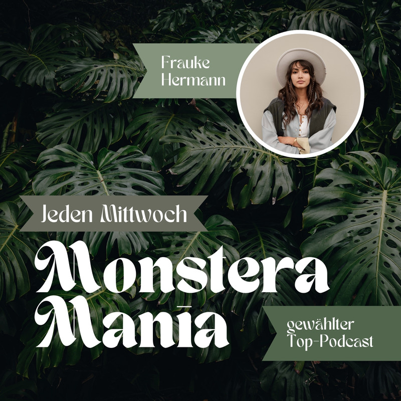 Monstera Mania - Lina - Canva
