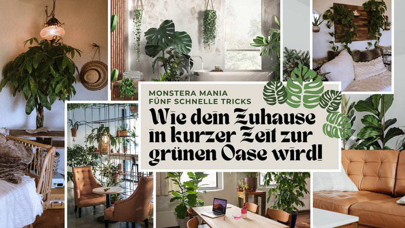 Monstera Mania - Lina - Canva