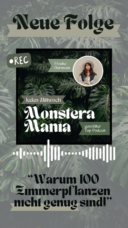 Monstera Mania - Lina - Canva