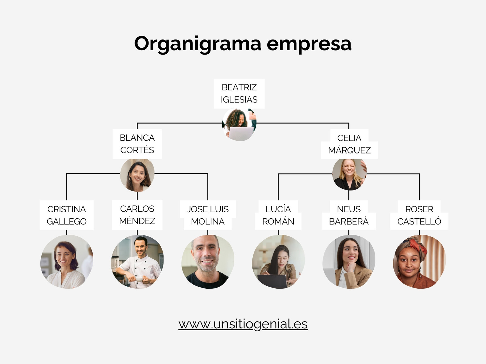 Gráfico Organigrama Empresa Esquema Fotos Sencillo Blanco