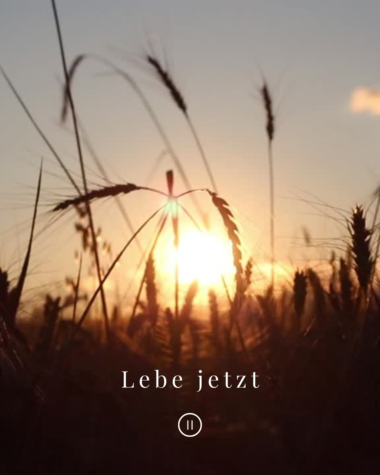 Elegant Ruhig Video Hintergrund Natur Sonne Spruch Zitat Instagram Post Hochformat Elegant Ruhig Video Hintergrund Natur Sonne Spruch Zitat Instagram Post Hochformat
