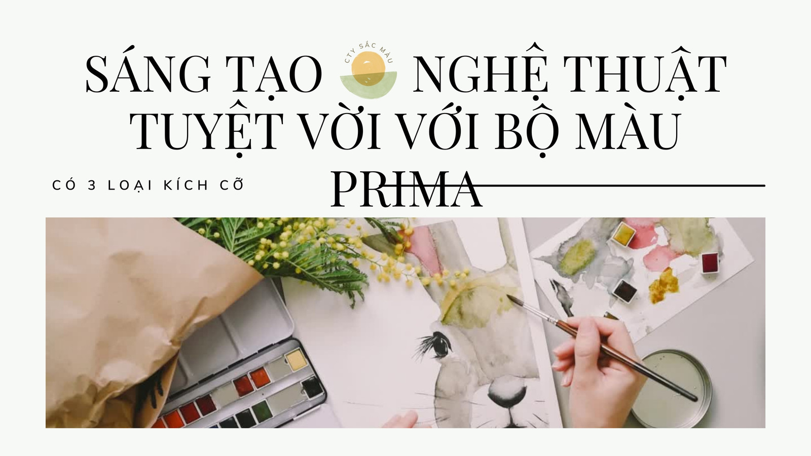 Video giới thiệu bộ màu vẽ nền trắng Video giới thiệu bộ màu vẽ nền trắng