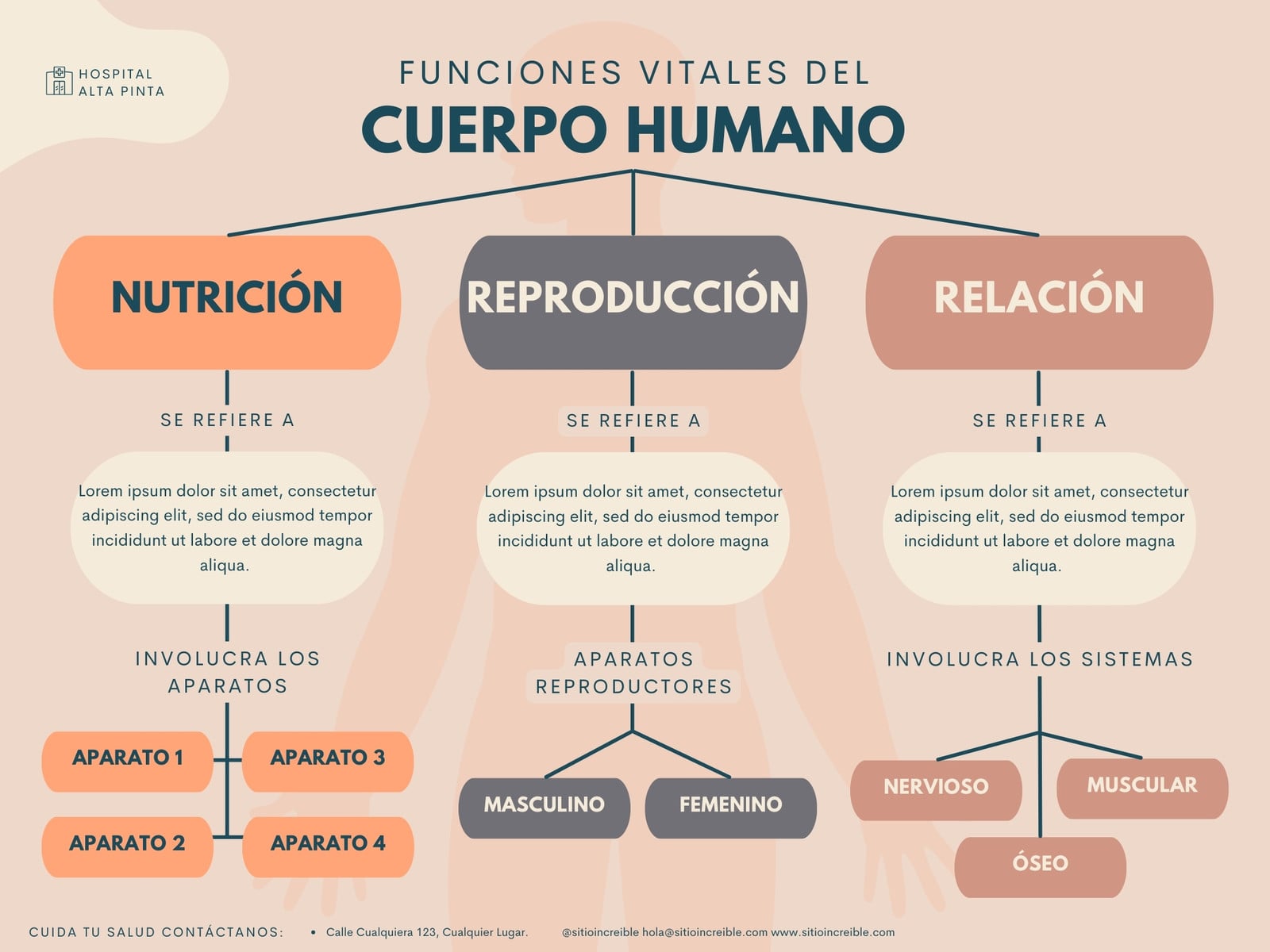 Mapa Conceptual Medicina Organico Colores Pastel