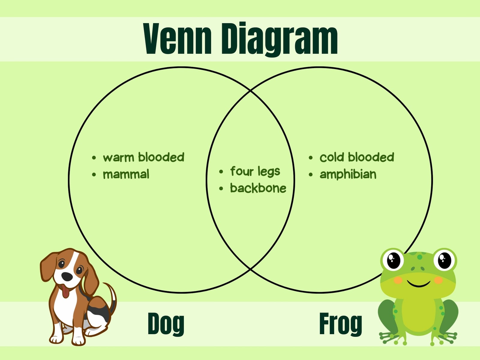 Animals Venn Diagram Graphic Organizer in Green and White Illustrative Style