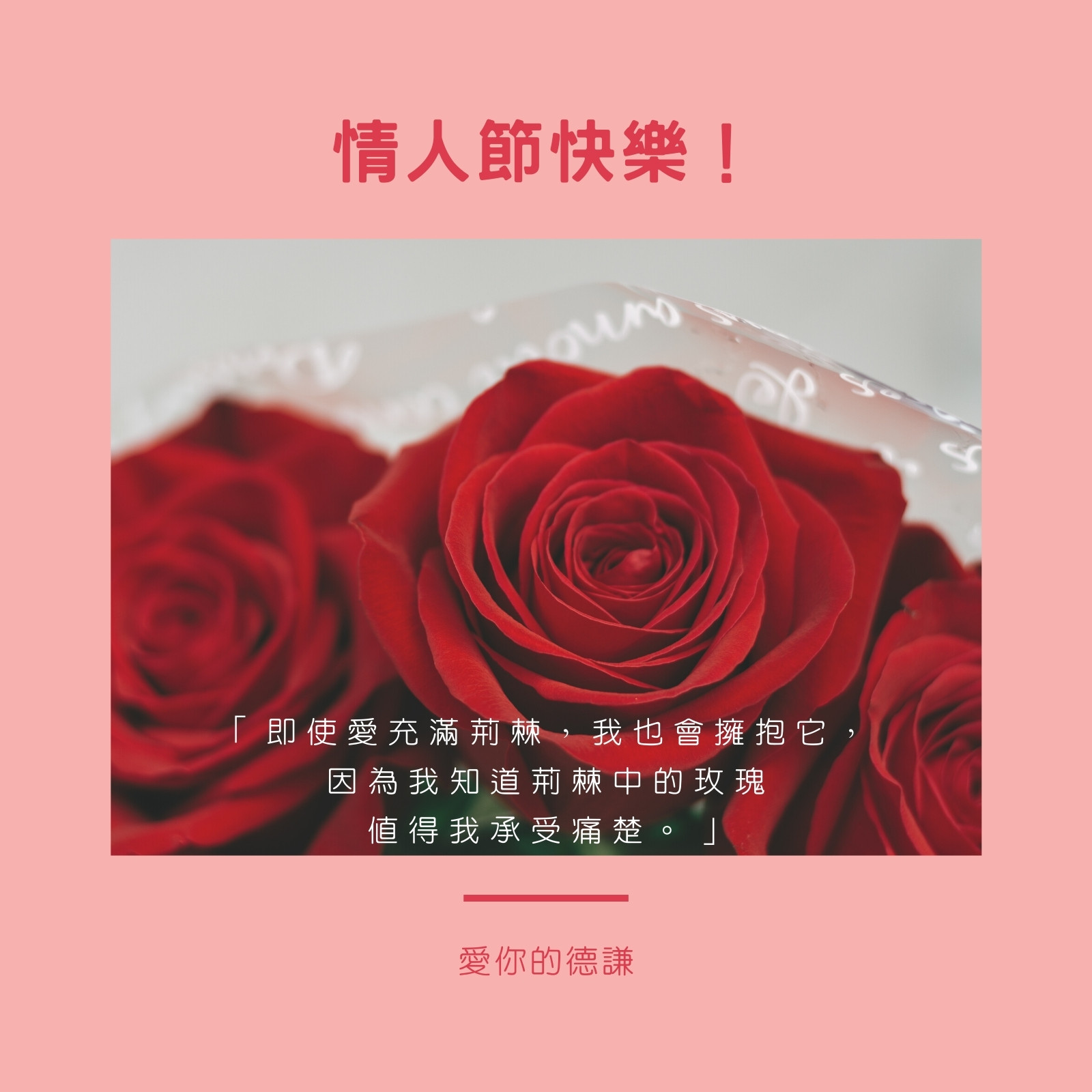 紅色玫瑰花情人節社交媒體