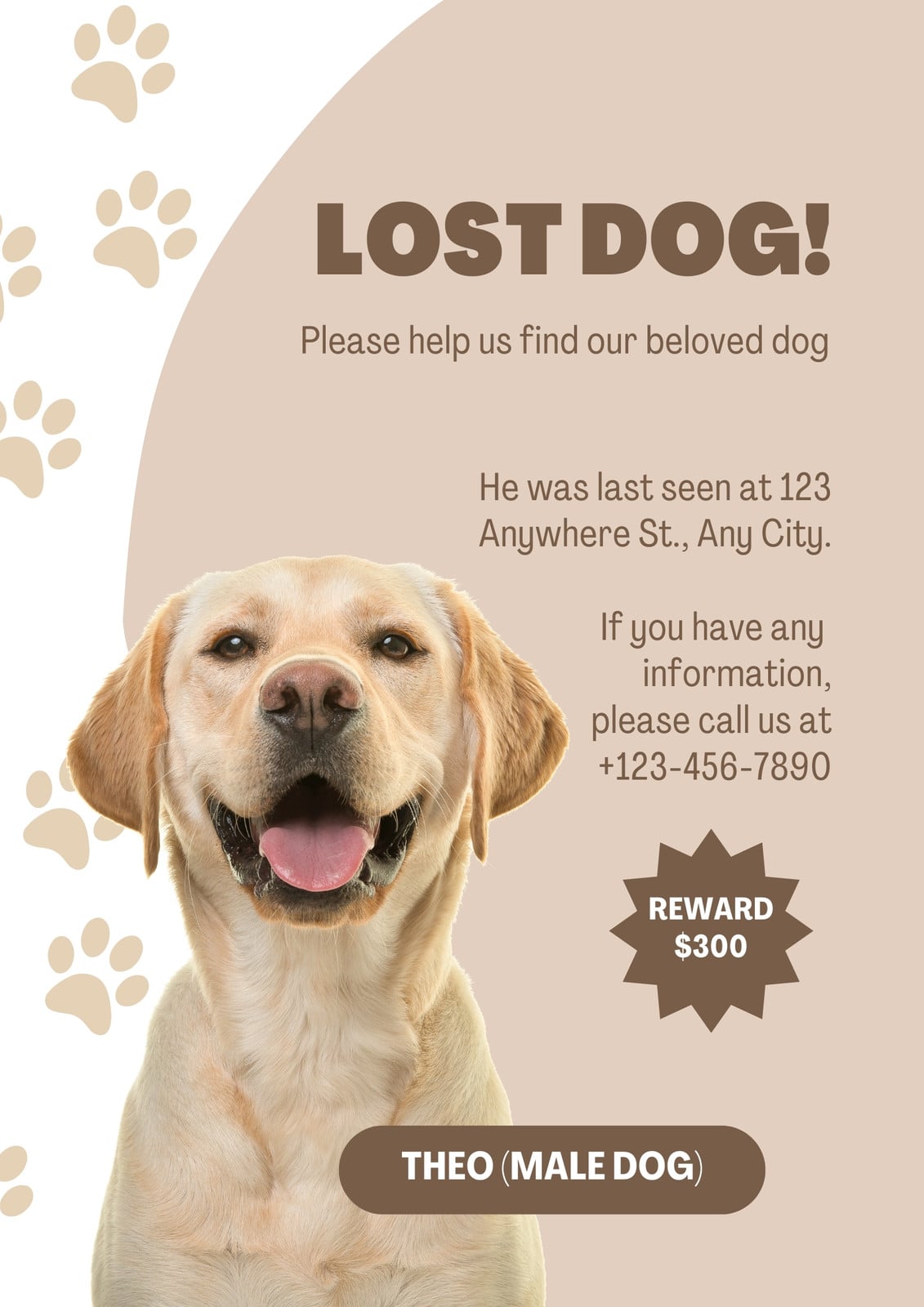 beige modern lost dog poster