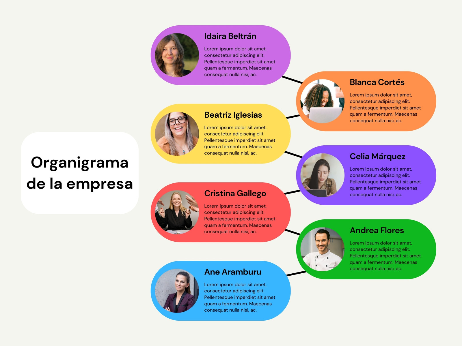 Gráfica Organigrama Mapa Mental Conceptos Fotos Circular Multicolor