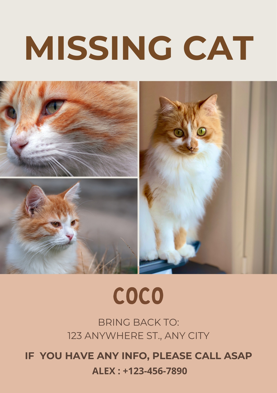 beige simple missing cat poster