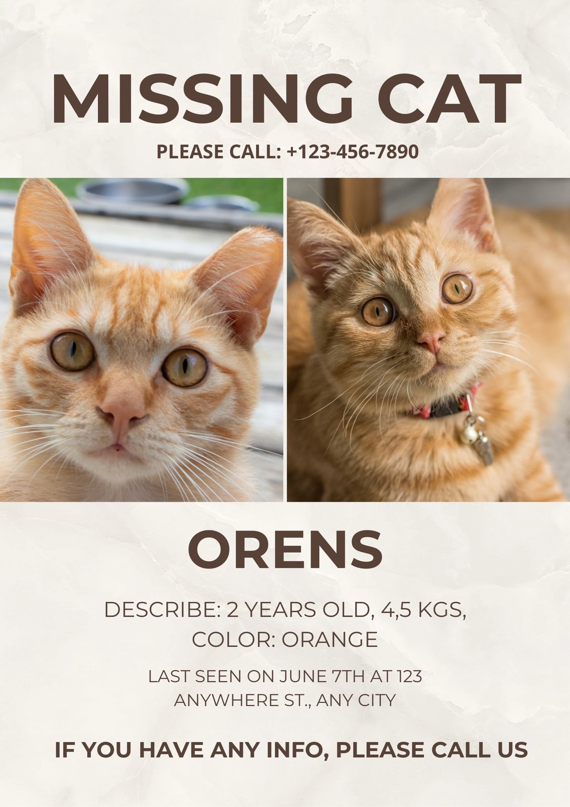 Beige Simple Missing Cat Poster