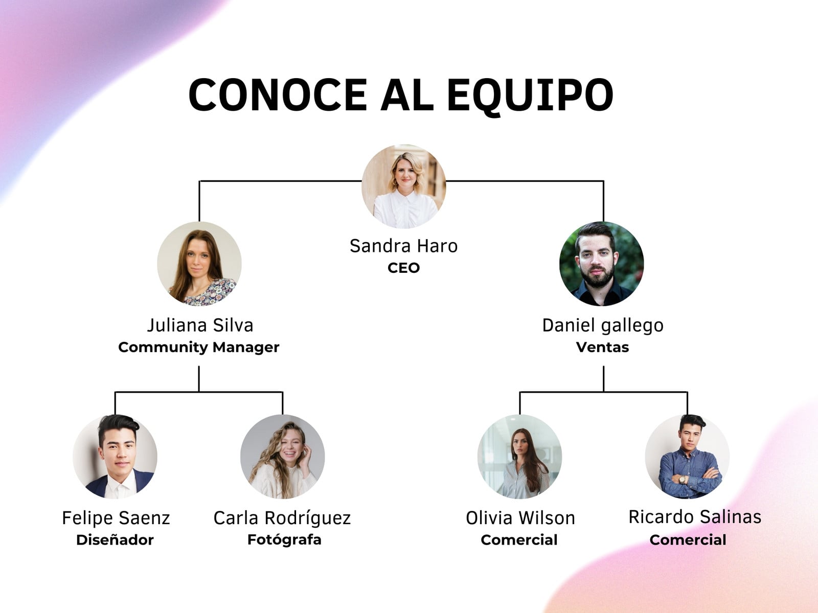 Gráfico Organigrama Conoce Al Equipo Degradado Rosa