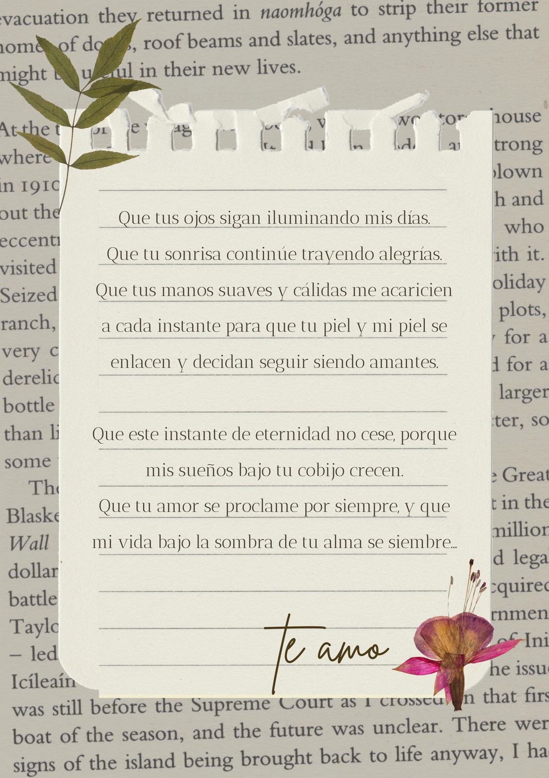 Documento A4 Carta De Amor Para Alguien Especial Oldstyle Beige