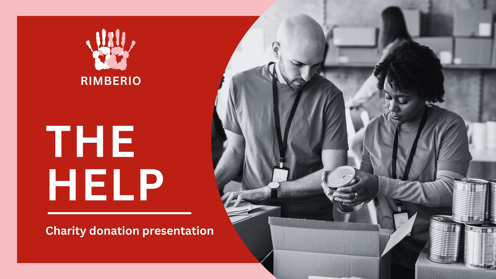Red and Gray Professional Charity Donation Presentation