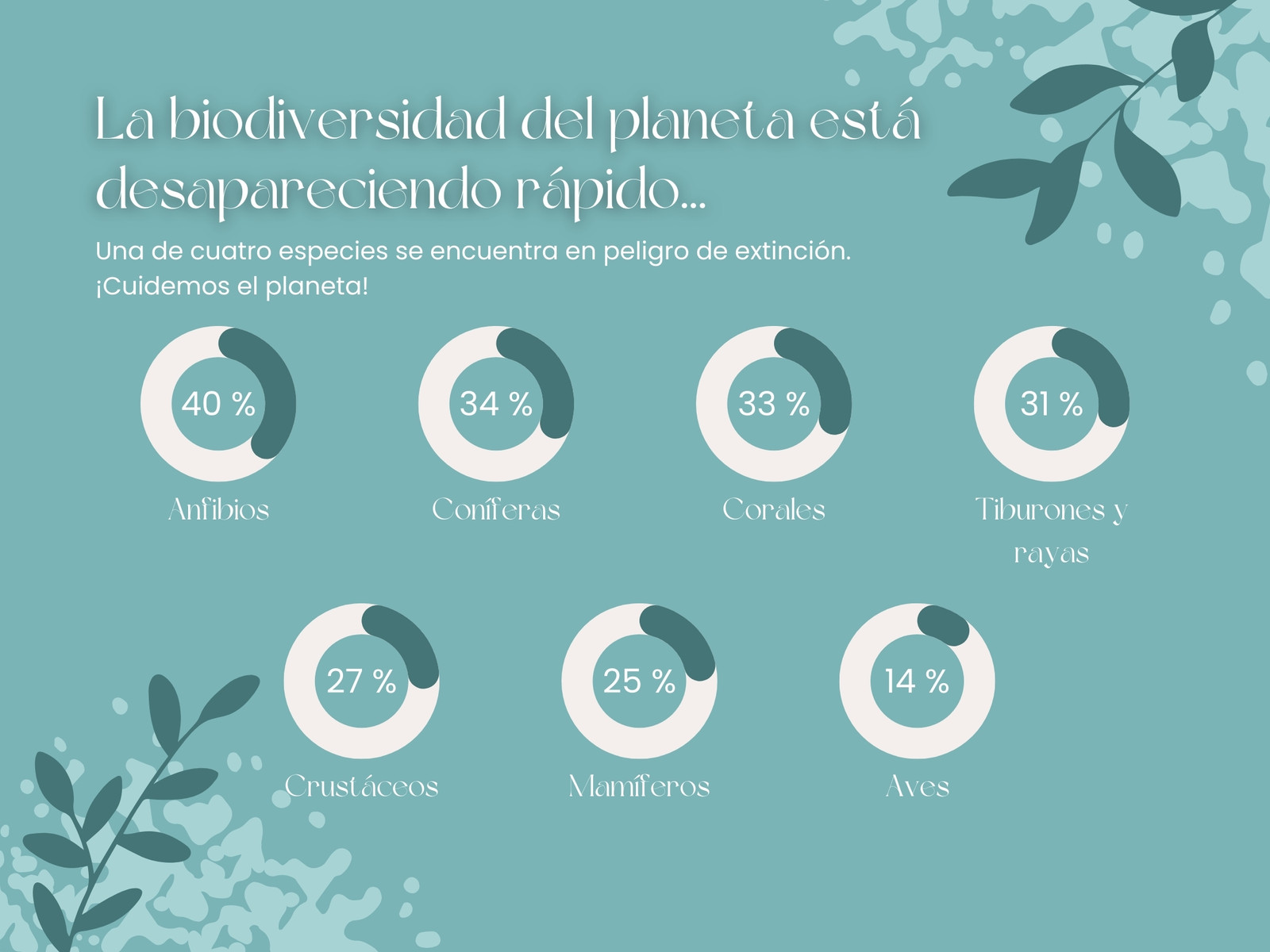 Gráfico Ambiental Organico Celeste