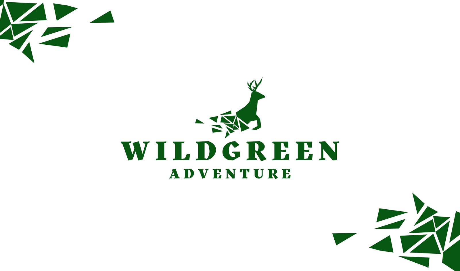 Green Moden Minimalist Adventure Business Card