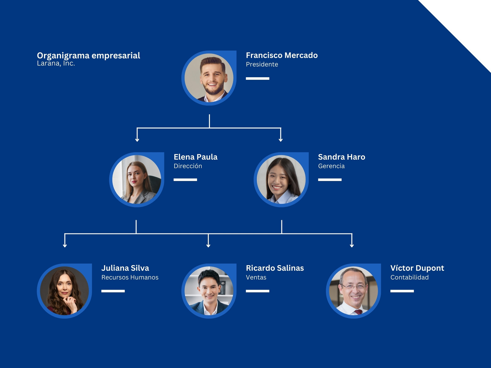 Gráfico Organigrama Empresarial Simple Fotográfico Formal Azul y blanco