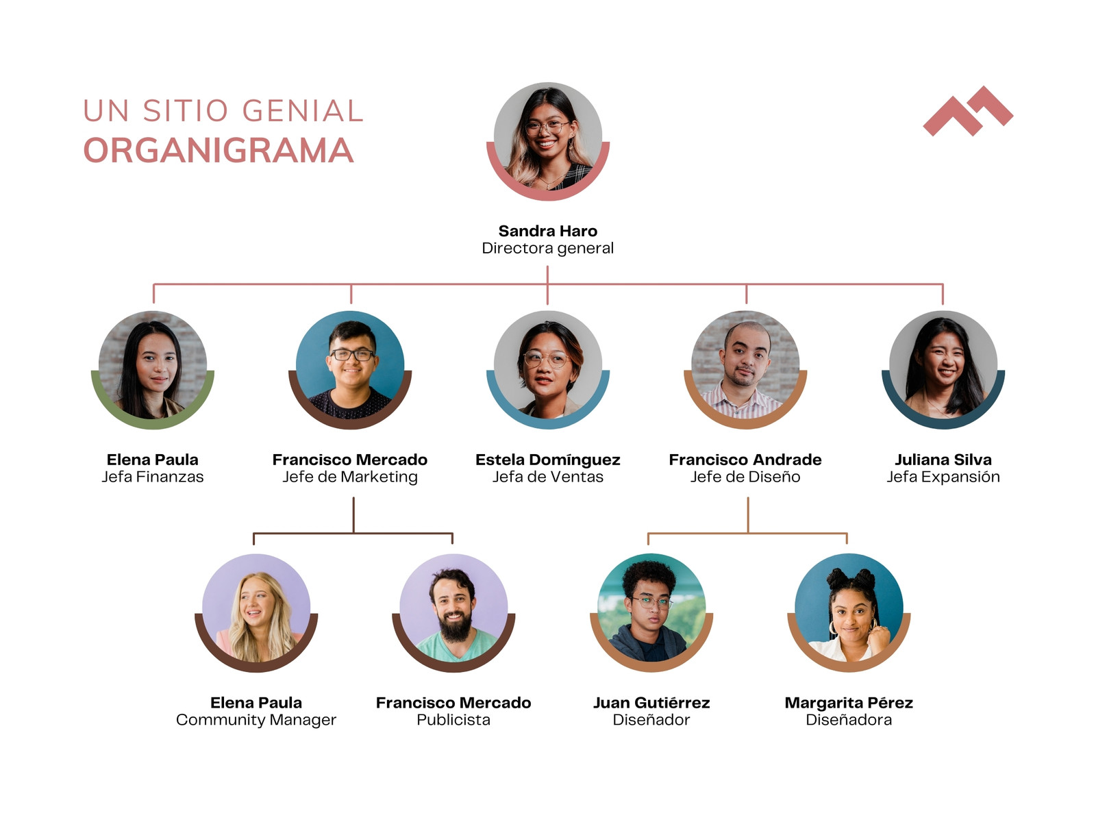 Gráfico organigrama empresa fotografias profesional rojo