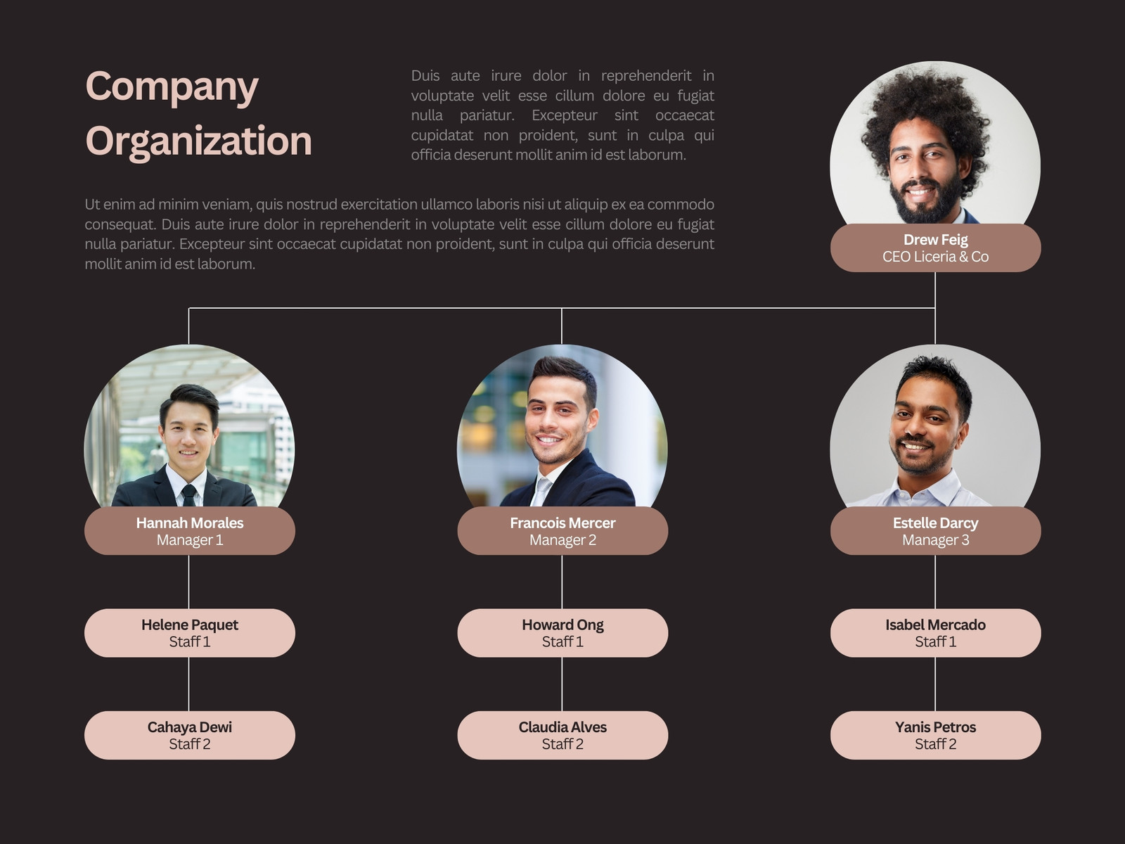 Brown Simple Modern Company Organization Graph