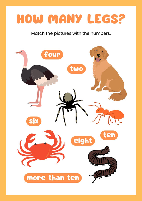 Page 16 - Free custom printable animal worksheet templates | Canva