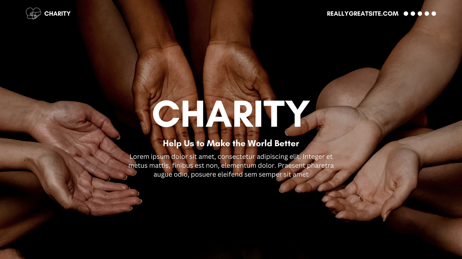 Blue Orange Professional Charity Presentation
