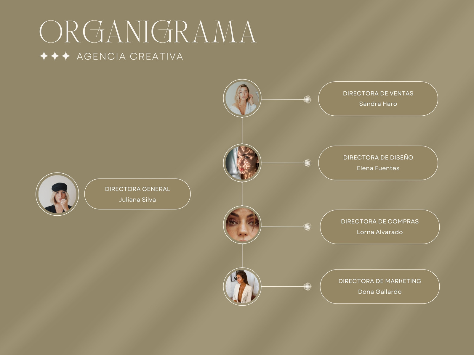 Gráfico organigrama empresa agencia elegante geométrica verde