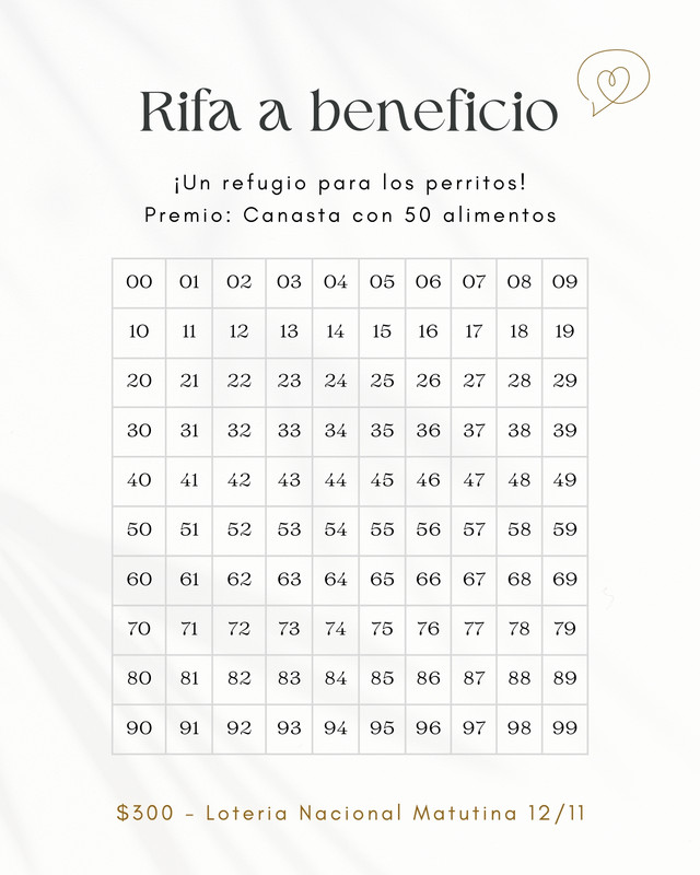 Plantillas rifa - Gratis y editables - Canva