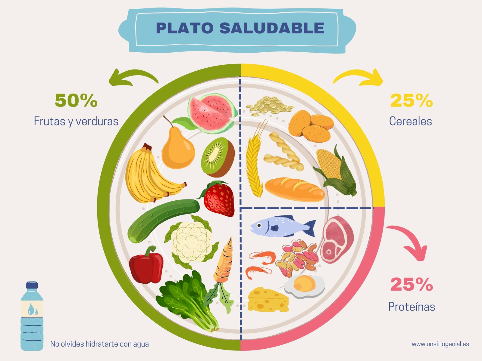 Gráfico Nutrición Plato Saludable Ilustrativo Crema Azul
