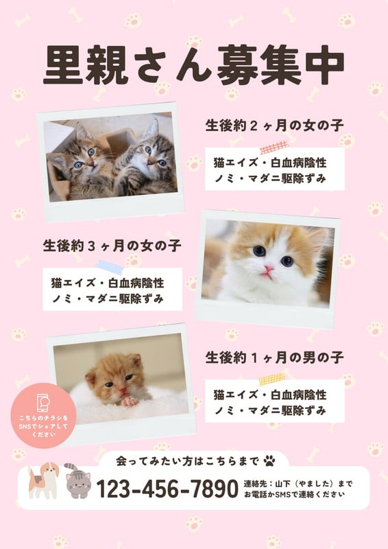 猫 里親募集 チラシ テンプレート 無料 里親募集チラシお作りします 保護猫団体さま用 ネットにアクセス出来ない方へアピール - 猫のオリジナルグッズ powered by BASE