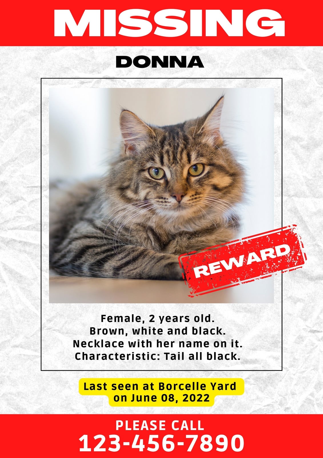 Red and white photographic missing pet poster