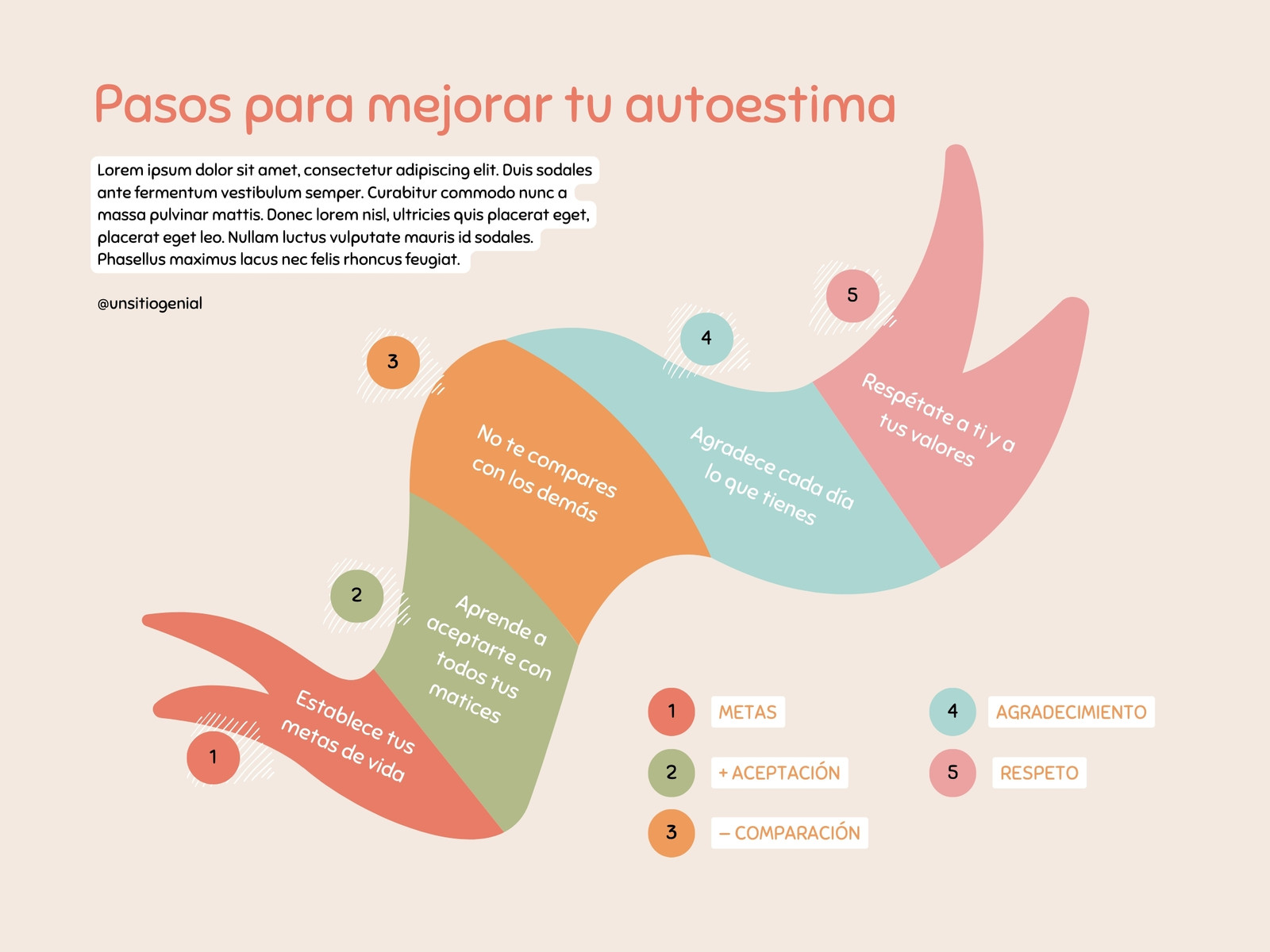 Gráfico Cinco Pasos Línea de Tiempo Orgánico Creativo Colores Pasteles