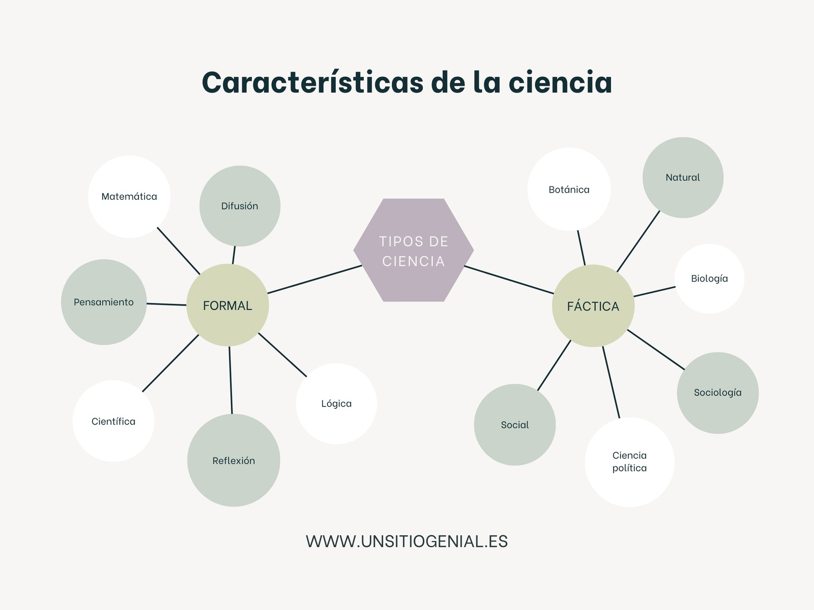 Gráfico Mapa Conceptual Esquema Círculos Ciencia Profesional Verde y Lila