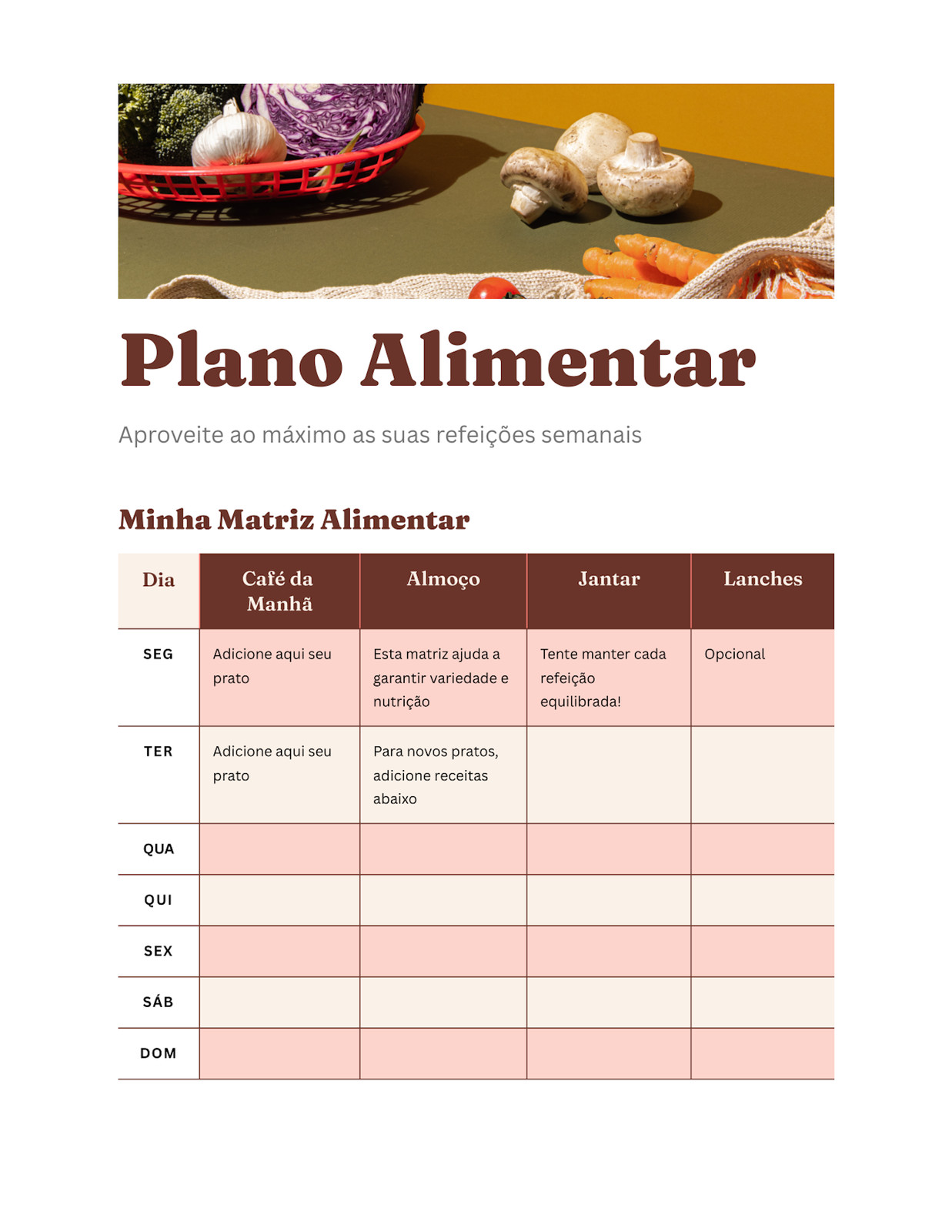 Doc de Plano Alimentar Estilo Profissional Clássico Marrom Vermelho-claro