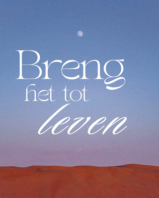 Print op doek